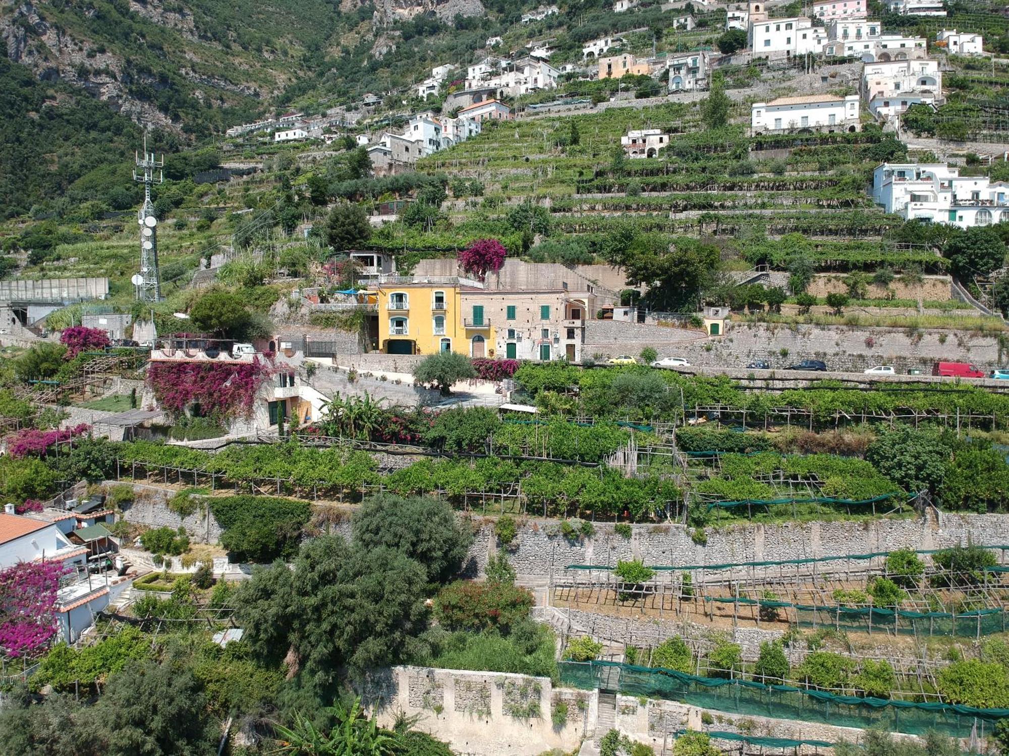 Agriturismo Fuoco D'Amalfi Villa Iazzetta ภายนอก รูปภาพ