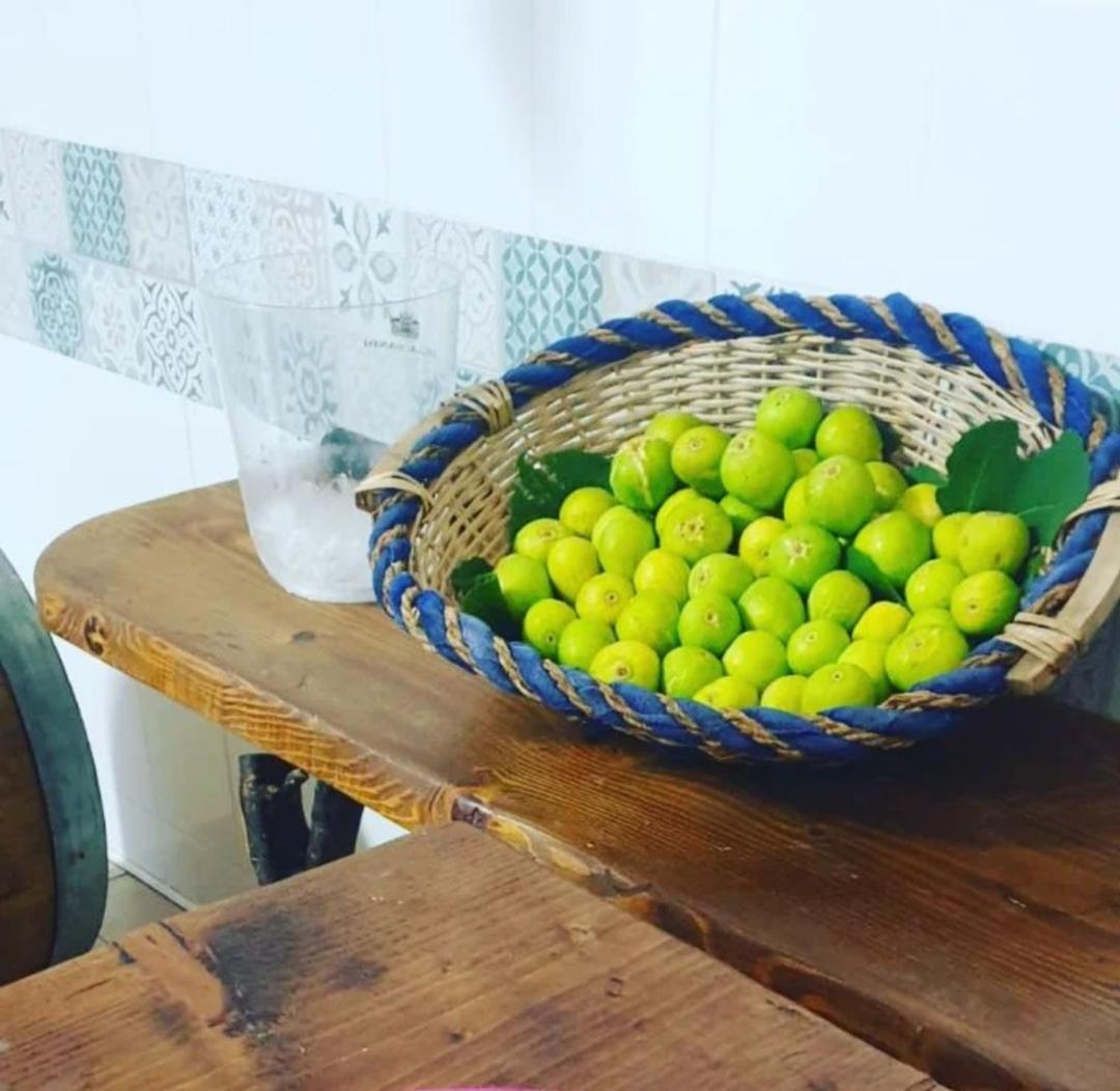 Agriturismo Fuoco D'Amalfi Villa Iazzetta ภายนอก รูปภาพ