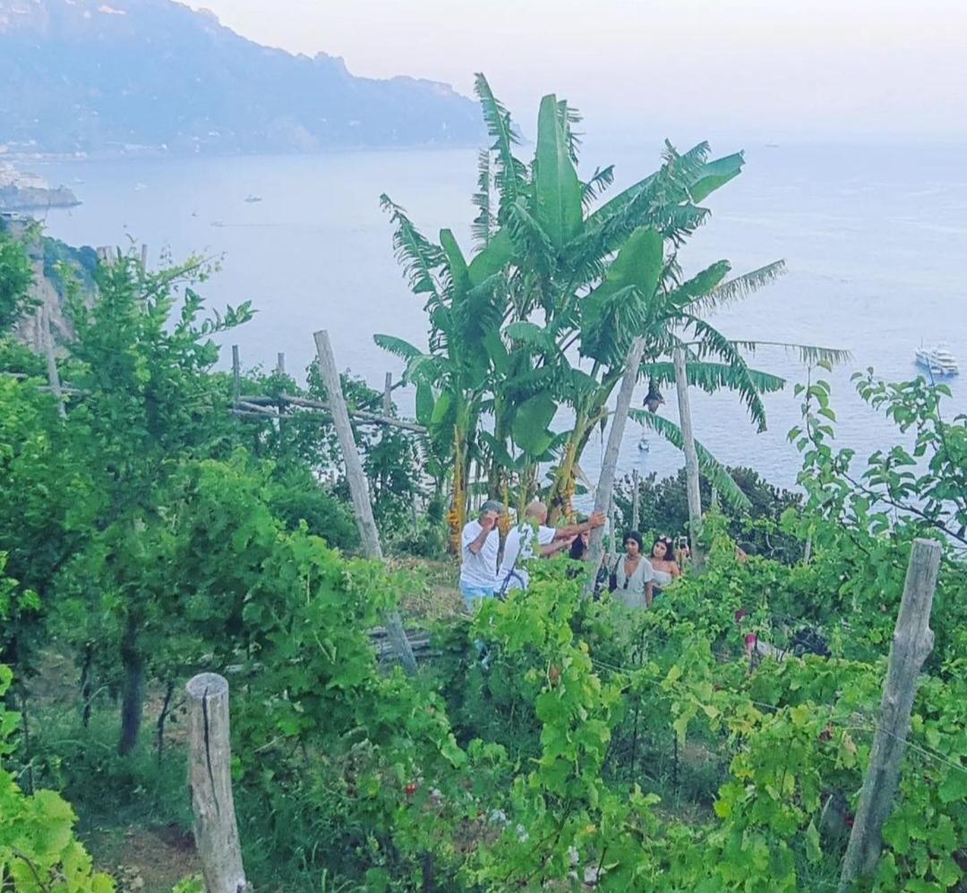 Agriturismo Fuoco D'Amalfi Villa Iazzetta ภายนอก รูปภาพ